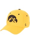 Main image for Iowa Hawkeyes Mens Gold DH Fitted Hat