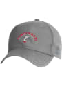Cincinnati Bearcats Under Armour Performance 2.0 Embroidered Adjustable Hat - Grey
