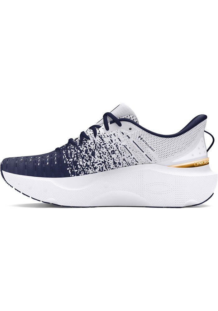 nike notre dame shoes