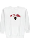 Main image for Mens Indiana Hoosiers White Summit Sportswear Hoosier The Bison Embroidered Crew Sweatshirt