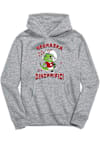 Main image for Toddler Nebraska Cornhuskers Grey Vive La Fete Dino-Riffic Long Sleeve Hooded Sweatshirt