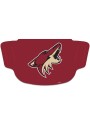 Arizona Coyotes Team Logo Fan Mask - Red