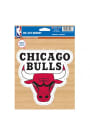 Chicago Bulls Team Logo Car Magnet - Red