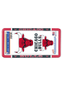 Chicago Bulls 2-Pack Decal Combo License Frame