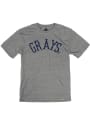 Homestead Grays Rally Arched Fancy Fashion T Shirt - Grey