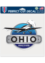 Ohio 8x8 Plane Auto Decal - Blue