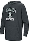 Main image for Youth Michigan State Spartans Black Colosseum Hockey No 1 Long Sleeve Hooded Sweatshirt