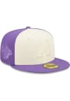 Main image for New Era Arizona Diamondbacks Mens Purple TONAL 2 TONE 5950 Fitted Hat