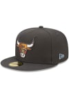 Main image for New Era Chicago Bulls Mens Grey Color Pack Multi 59FIFTY Fitted Hat