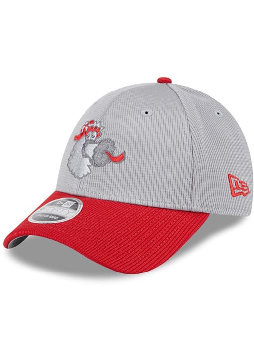 New Era Philadelphia Phillies 2025 Batting Practice Stretch  9FORTY Adjustable Hat - Grey