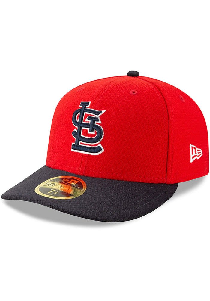 2019 batting practice hats