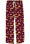 Main image for Youth Minnesota Golden Gophers Maroon Vive La Fete Team Graphic Loungewear Sleep Pants