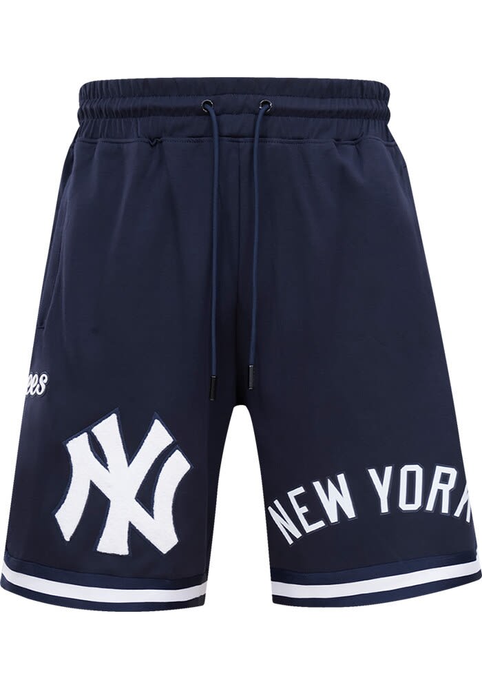 パンツ ennoy professional shorts navy size L the ennoy professional nylon easy shorts