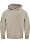 Main image for Mens Cincinnati Bearcats Brown Pro Standard Neutral Long Sleeve Fashion Hood