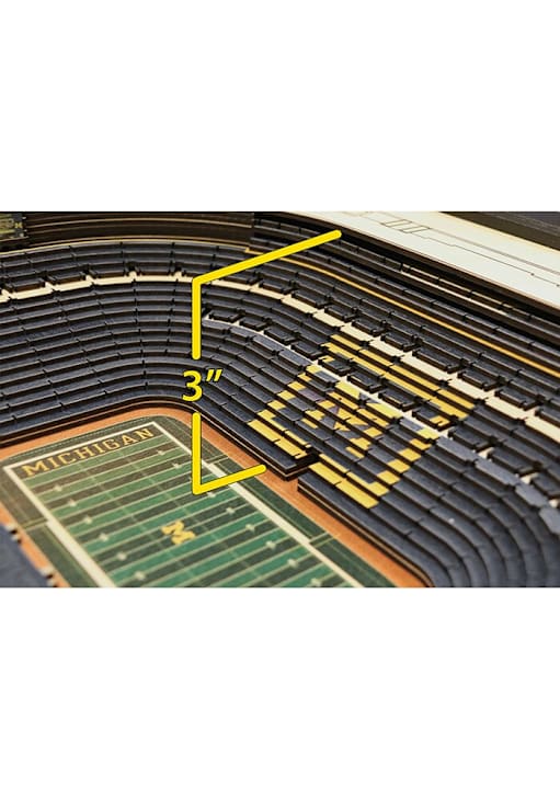 Michigan Wolverines BLACK 