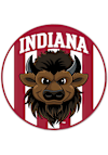 Main image for Red Indiana Hoosiers Bison Sign