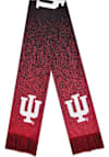Main image for Indiana Hoosiers Forever Collectibles Big Logo Mens Scarf - Crimson
