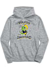 Main image for Toddler Toledo Rockets Grey Vive La Fete Dino-Riffic Long Sleeve Hooded Sweatshirt