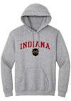 Main image for Mens Indiana Hoosiers Grey Summit Sportswear Hoosier The Bison Embroidered Hooded Sweatshirt