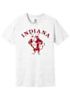 Main image for Indiana Hoosiers Ash Summit Sportswear Arch Name Mascot Short Sleeve Fashion T Shirt