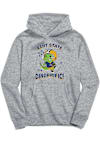 Main image for Toddler Kent State Golden Flashes Grey Vive La Fete Dino-Riffic Long Sleeve Hooded Sweatshirt
