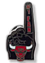 Chicago Bulls Team Logo Pin
