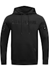 Main image for Mens Michigan State Spartans Black Pro Standard Triple Black Long Sleeve Fashion Hood