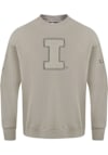 Main image for Mens Illinois Fighting Illini Brown Pro Standard Neutral Crew Sweatshirt
