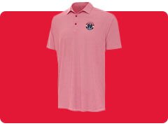 Shop Washington Wizards Polos
