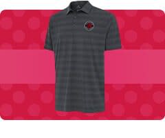 Shop Toronto Raptors Polos