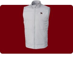 Shop South Carolina Gamecocks College Vault