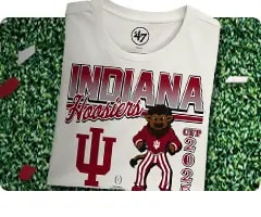 Shop Indiana Hoosiers Bison Bison Collection