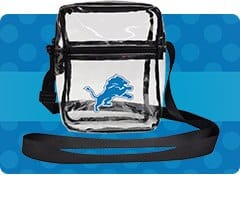 Shop Detroit Lions Accessories