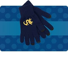 Shop Drexel Dragons Accessories