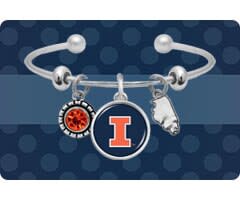 Shop Illinois Fighting Illini Accessories