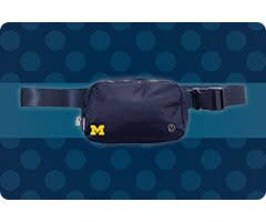 Shop Michigan Wolverines Accessories