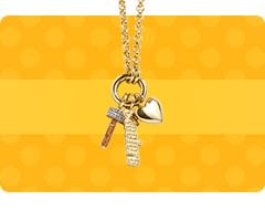 Shop Pittsburgh Steelers Accessories