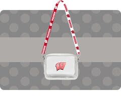 Shop Wisconsin Badgers Accessories