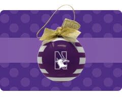 Shop Northwestern Wildcats Gifts