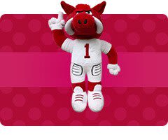 Shop Arkansas Razorbacks Stocking Stuffers