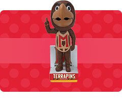 Shop Maryland Terrapins Home Decor