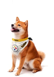 Pittsburgh Steelers Home and Away Pet Bandana