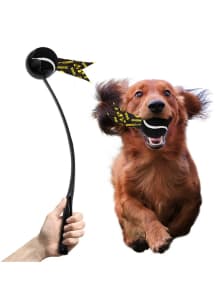 Black Iowa Hawkeyes Ball Launcher Pet Toy