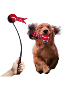 Red Ohio State Buckeyes Ball Launcher Pet Toy