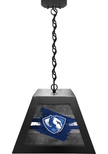 Eastern Illinois Panthers Pendant Black Billiard Lamp