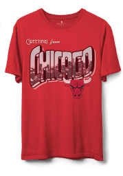 Junk Food Clothing Chicago Bulls Red Postcard Short Sleeve T Shirt