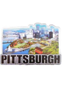 Pittsburgh City View Magnet