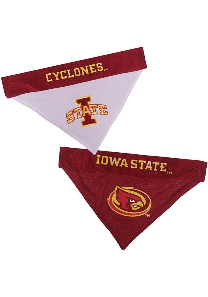 Iowa state outlet dog bandana