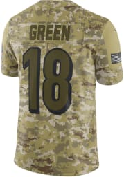 AJ Green Nike Cincinnati Bengals Mens Olive Salute to Service Limited Football Jersey