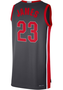 LeBron James  Nike Ohio State Buckeyes Grey Limited Dri-FIT Jersey